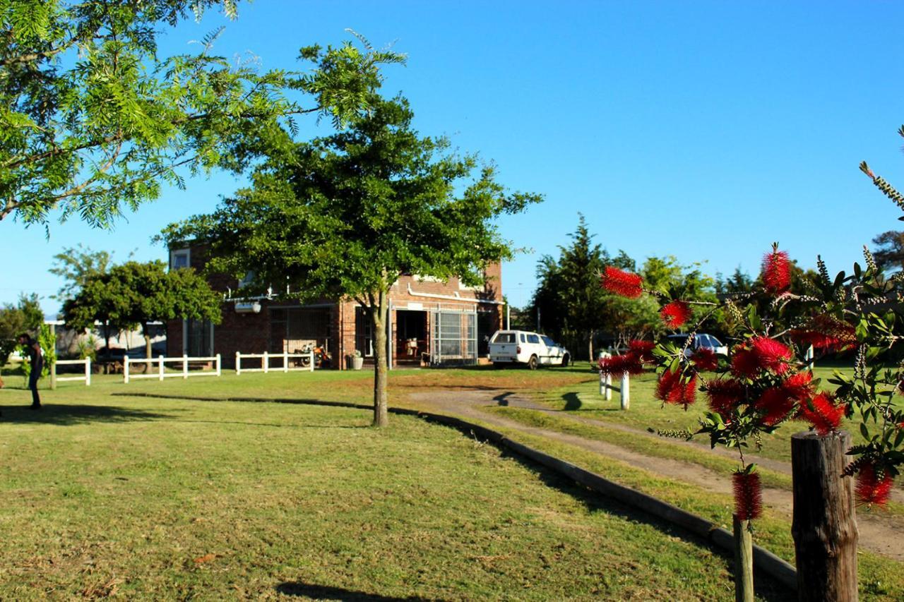African Adventures Accommodation Durbanville Exterior photo