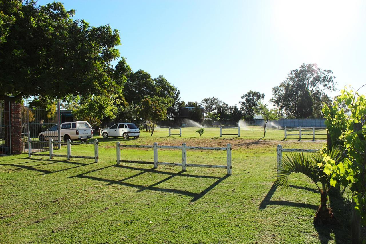 African Adventures Accommodation Durbanville Exterior photo