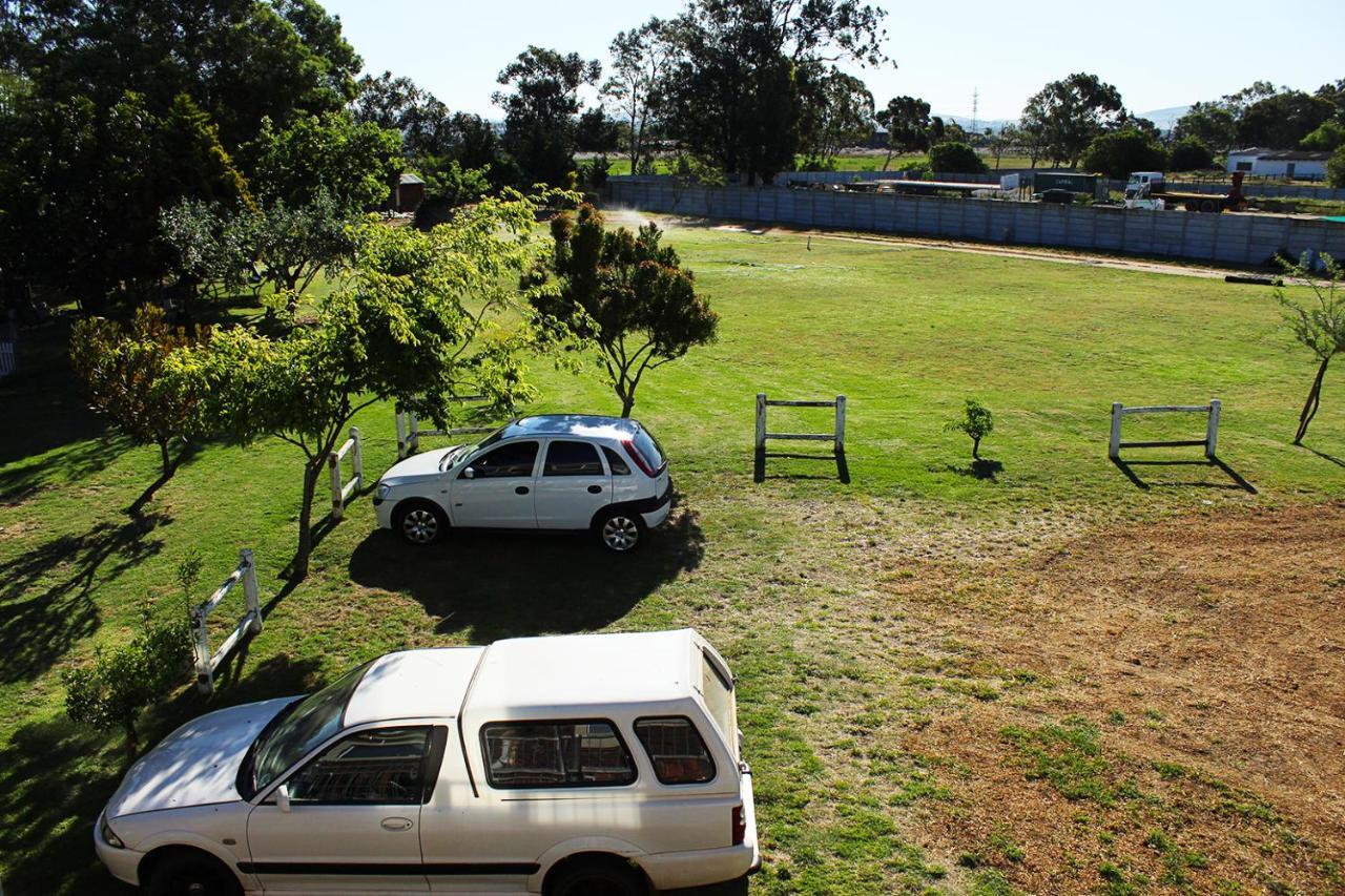 African Adventures Accommodation Durbanville Exterior photo